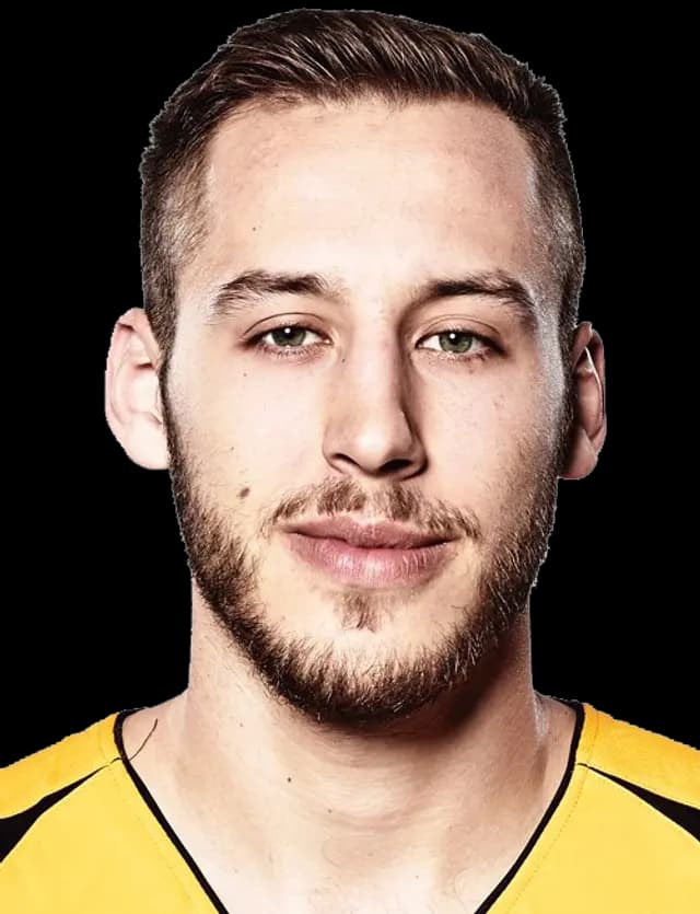 Bild von Vladimir Mihailovic 