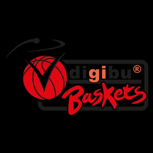 digibu Baskets